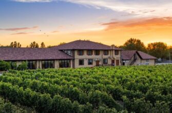 Виноделам разрешат строить отели на землях сельхозназначения