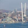 В Приморье за полгода собрали 43 млн рублей турналога
