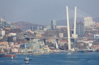 В Приморье за полгода собрали 43 млн рублей турналога