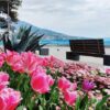 Ялта увеличила число работающих гостиниц до 194 в режиме ЧС