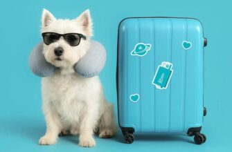 Сеть отелей Cosmos расширяет pet-friendly сервис на 19 отелей